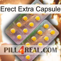 Erect Extra Capsule new10